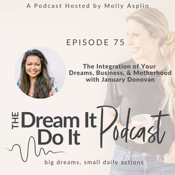 The Integration of your Dreams, Business & Motherhood with January Donovan