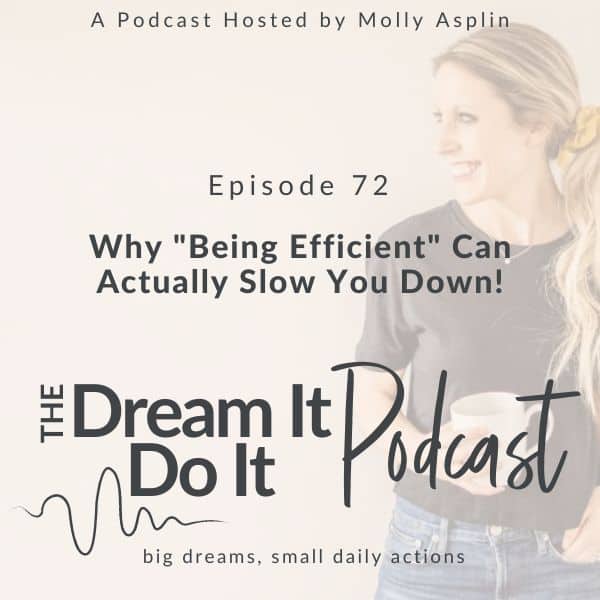 didi podcast (30)