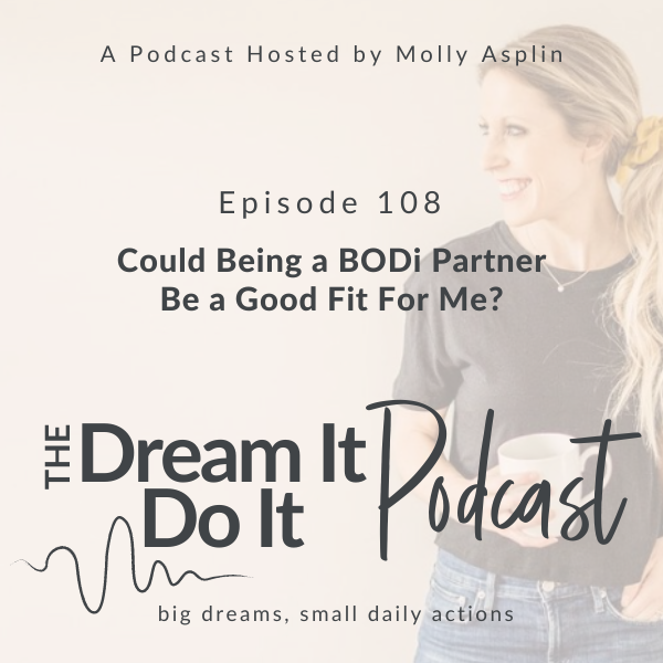 bodi partner