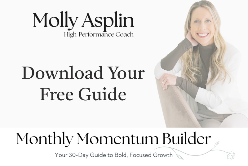 momentum guide cover